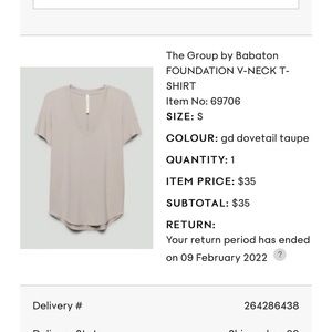 Aritzia The Group Foundation V-Neck T-Shirt in Dove Taupe